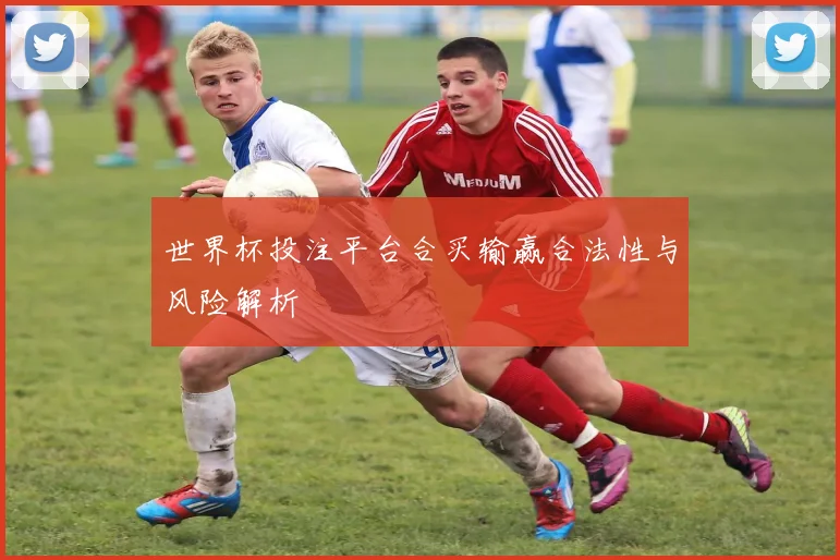 世界杯投注平台合买输赢合法性与风险解析