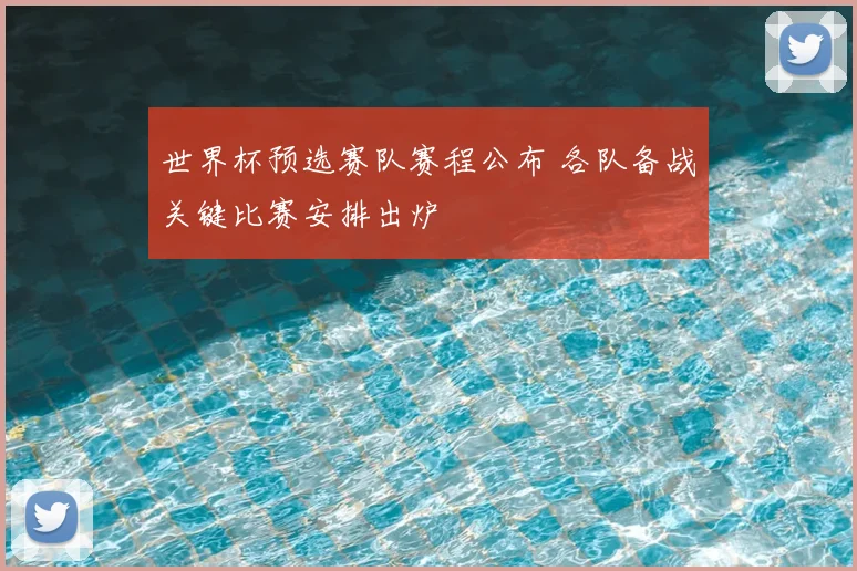 世界杯预选赛队赛程公布 各队备战关键比赛安排出炉